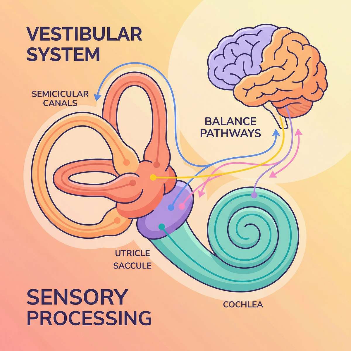 gross-motor-movement-tools therapy material