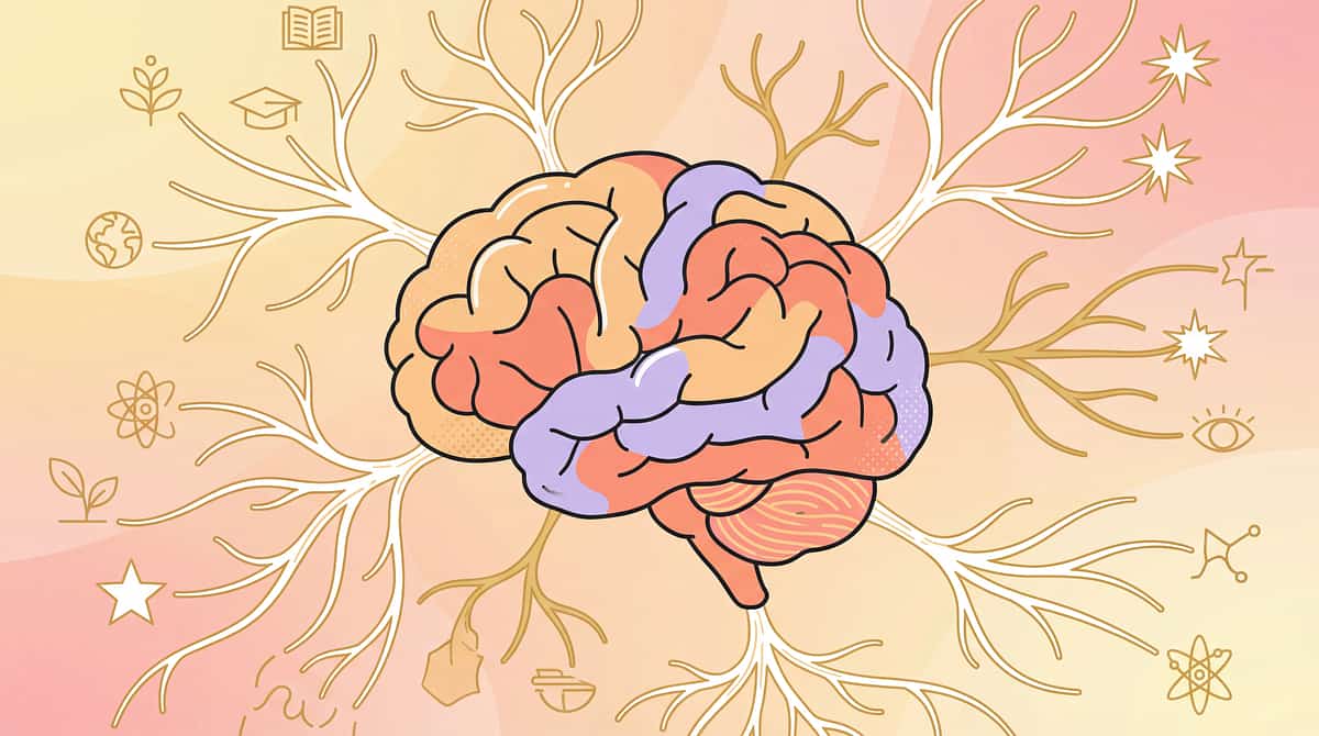 problem-solving-toys therapy material